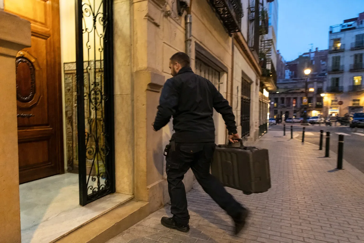 Urgencias de plagas en Palau-solità i Plegamans — PalauControl